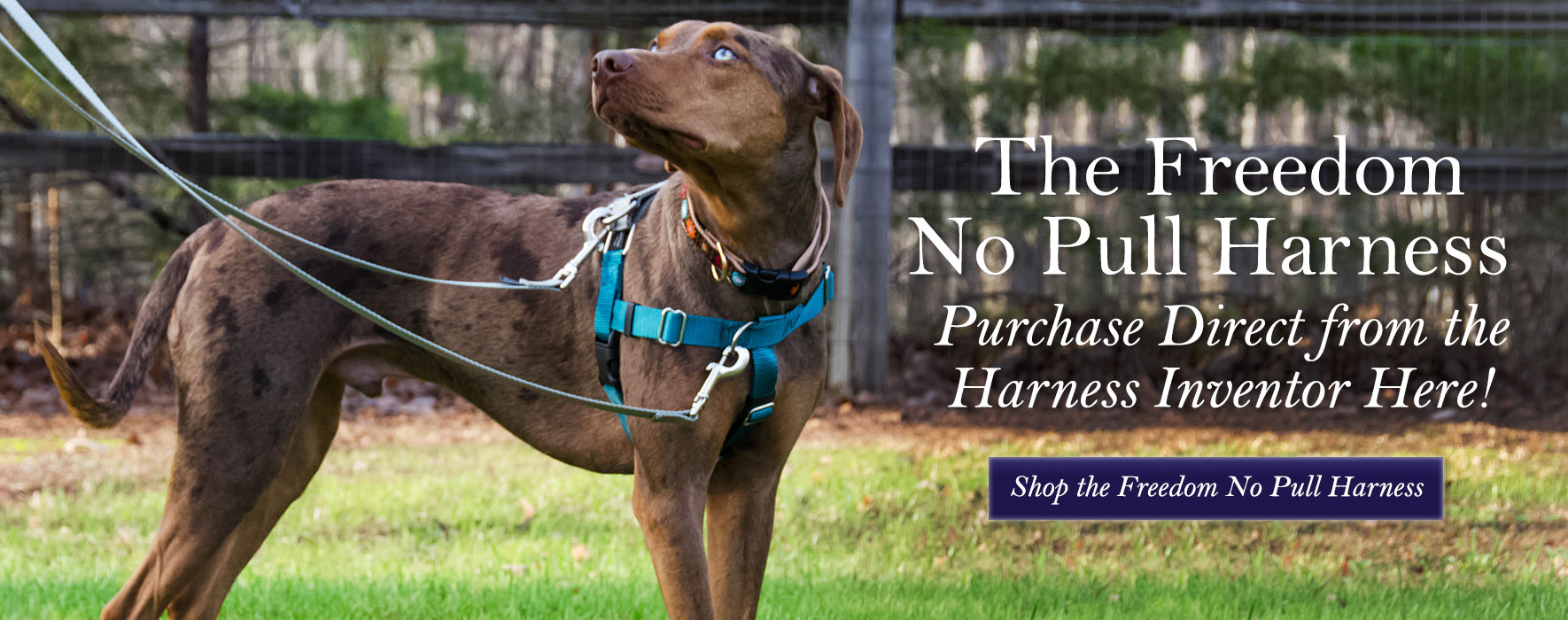 Shop the Freedom No Pull Harness